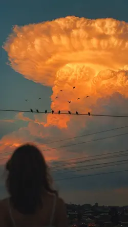 vibes aesthetic ###