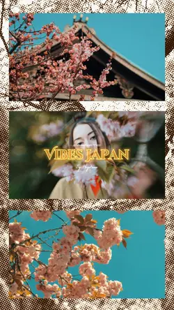 Vibes Japan
