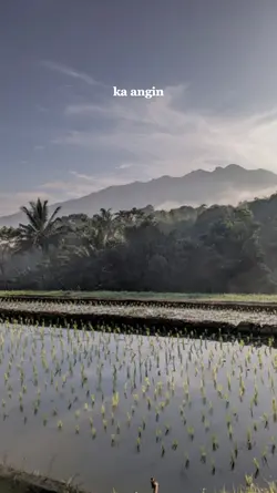titip kaangin pang n