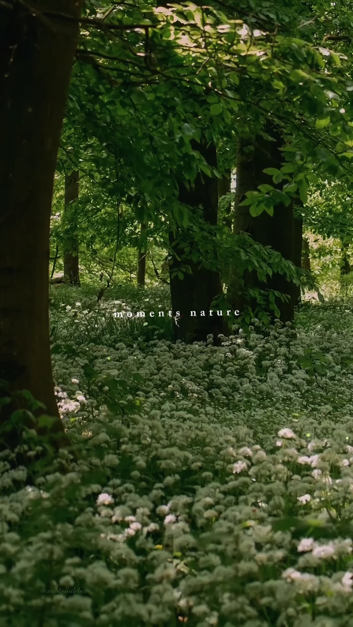 Beleza da natureza