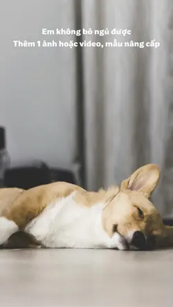 Em không bỏ ngủ được