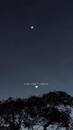 seu amor é surreal 