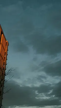 Saritu sayau pagil..