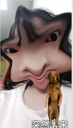 小狗狗跳舞