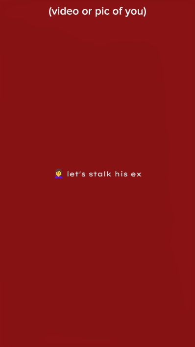 STALK SEIN EX