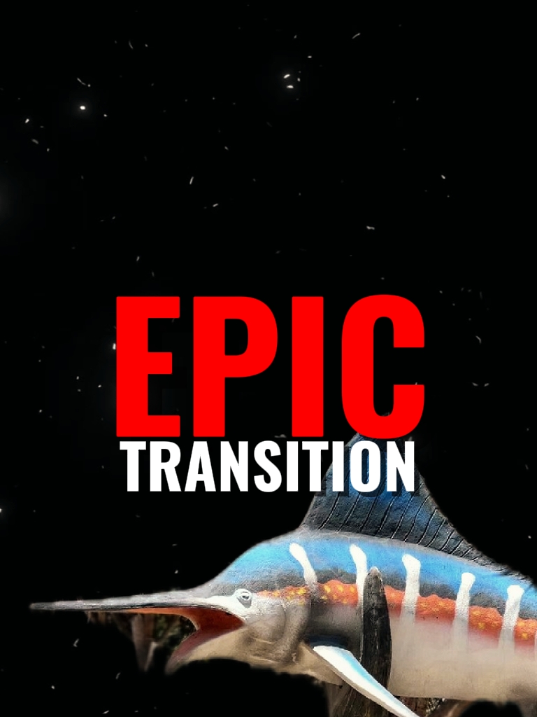 TRANSISI EPIK