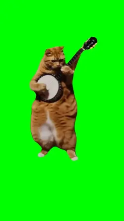 Cat Banjo Meme 