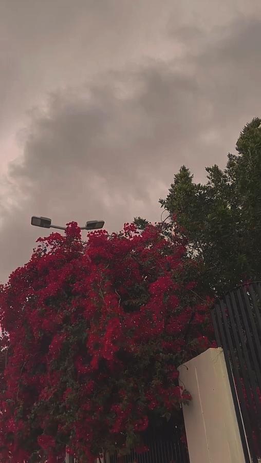 5 clips slowmo 