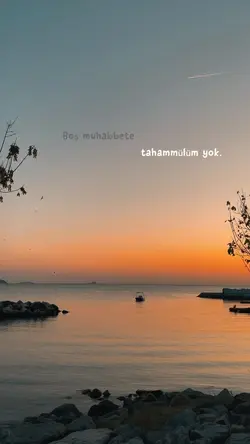 Trend şablon✨