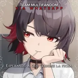 Team Multifandom 