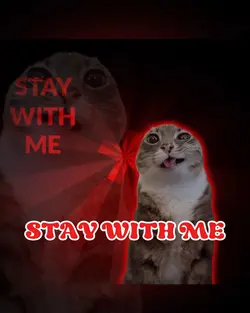 Stay With Me 