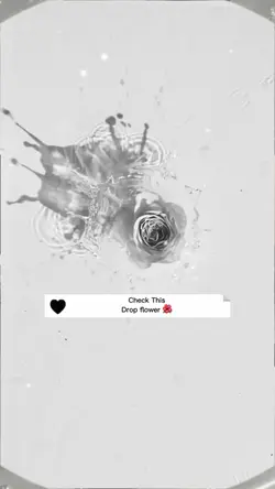 Rose white Drop