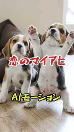 恋のマイアヒ