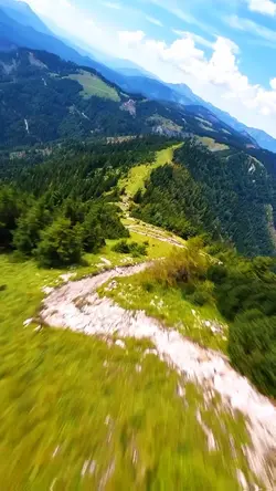40 video or photo