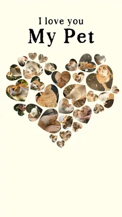 My pet