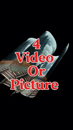 4 video or photo  |