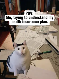 Insurance Explained?