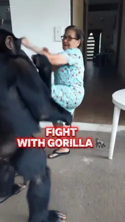 Fight with gorilla 🦍
