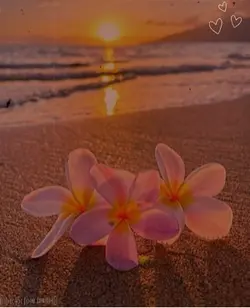 Trending songs ,🌸🌺🌞✨