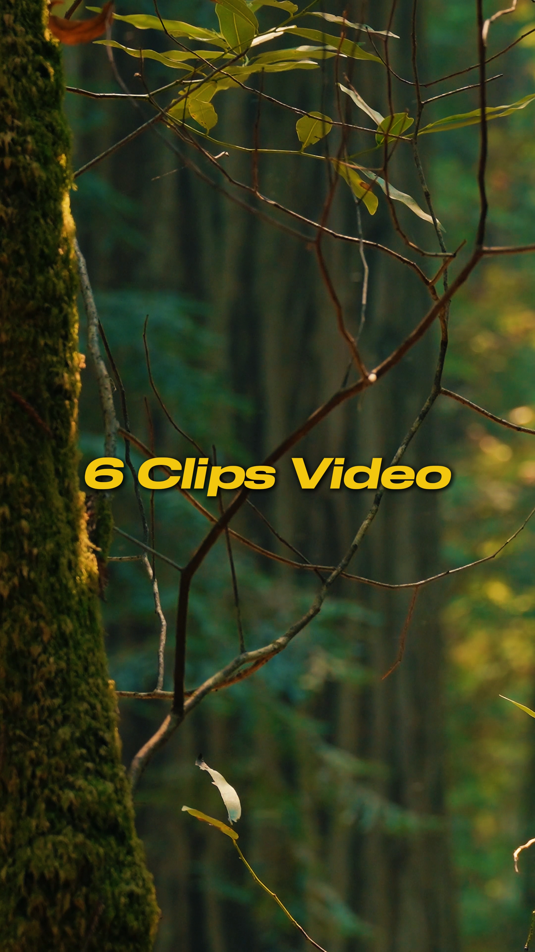 Cinematic 6 Videos