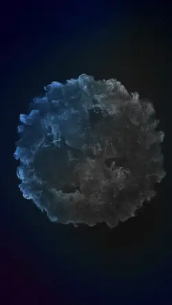 Whirlpool portrait ⁵