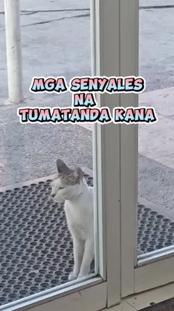 SENYALES MATANDA NA