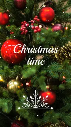 Christmas time