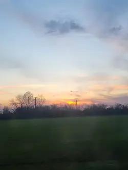 T'es émojies récent