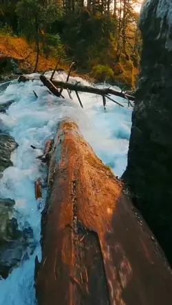 Nature 