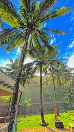 FILTER IP JERNIH HDR