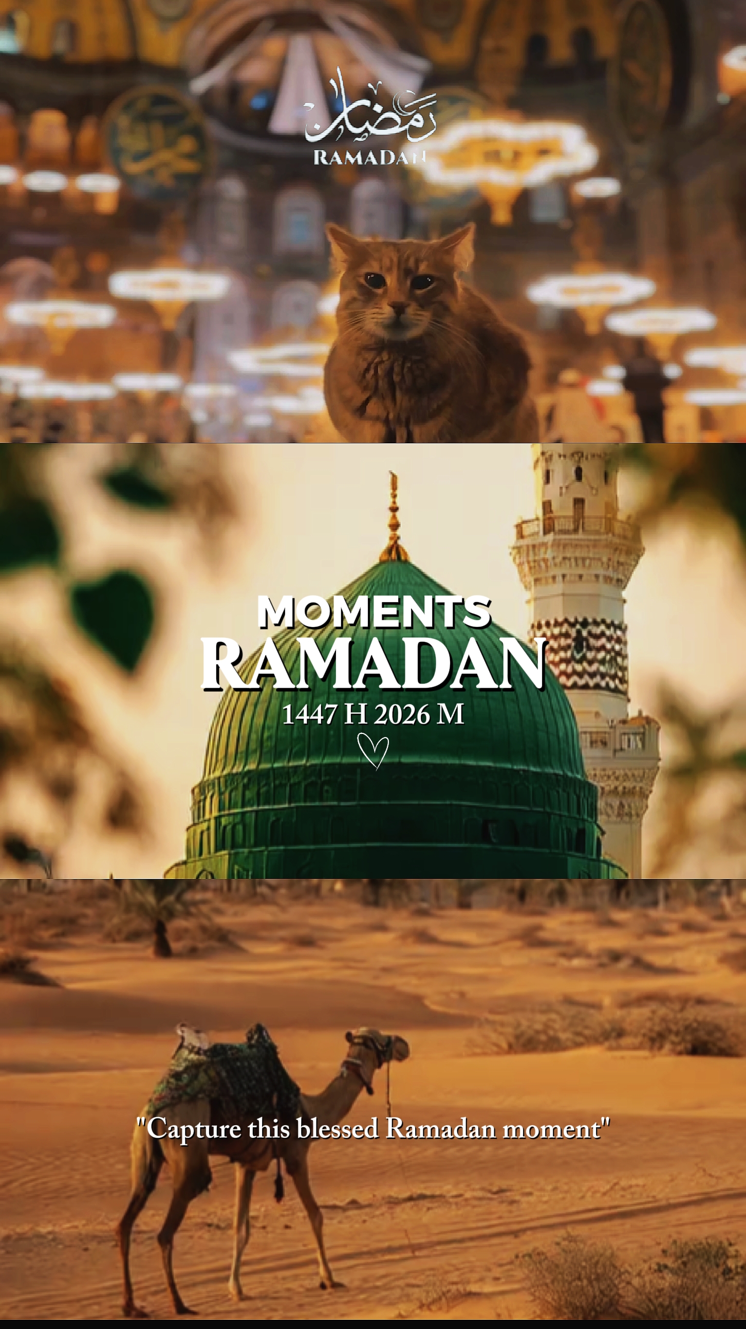 MOMEN RAMADAN