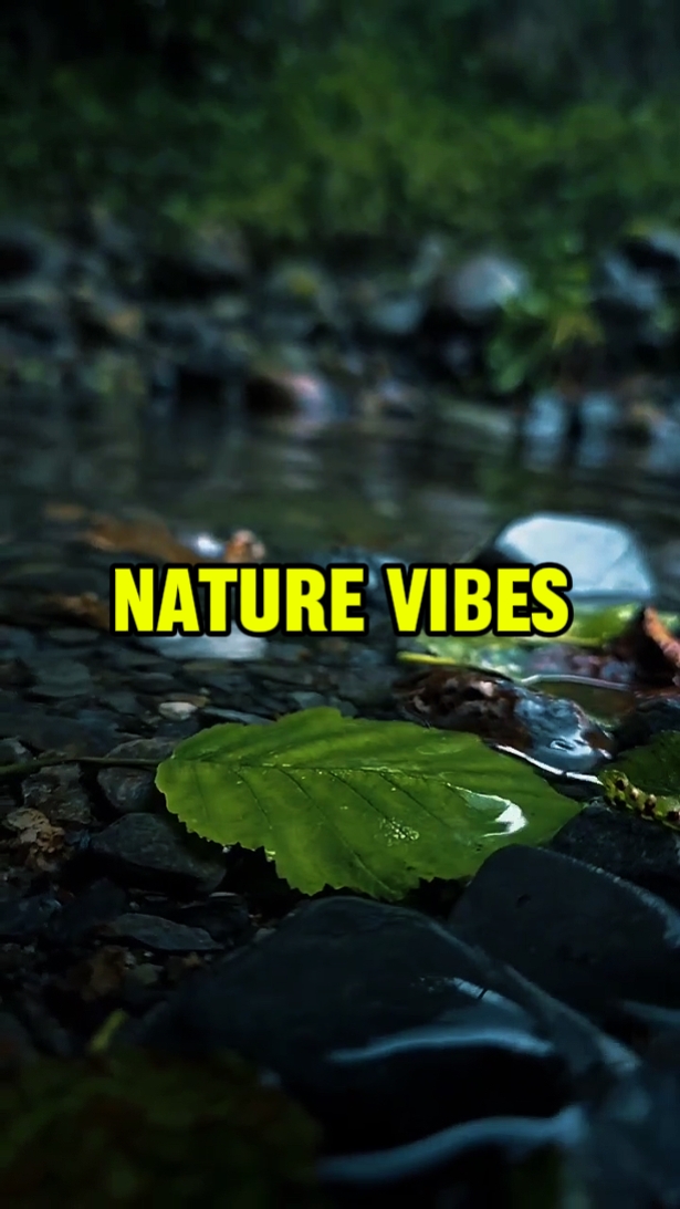 vibes ng kalikasan