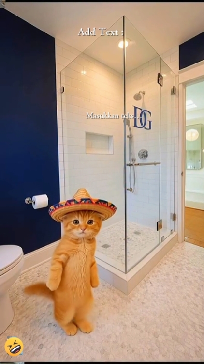 Funny Cat: