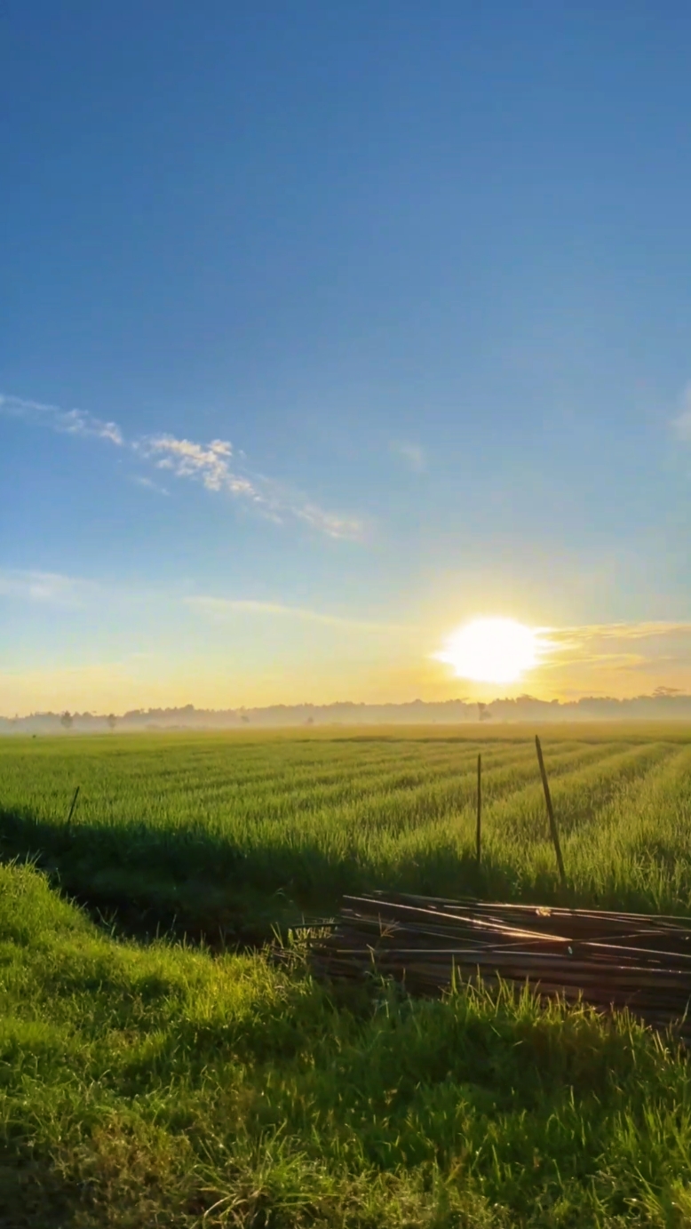 Selamat pagi dunia