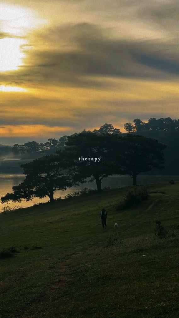 therapy