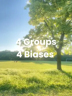 4 Groups 4 Biases