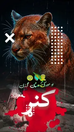 څه بې شماره شهیدان د