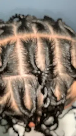 Braids Template