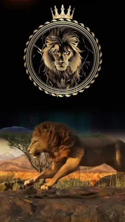 قوالب جولات