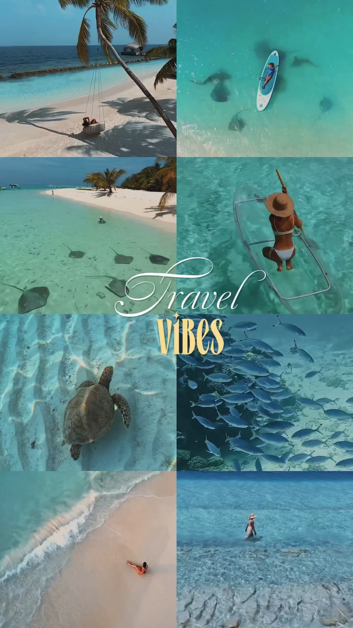 Vibras de viaje