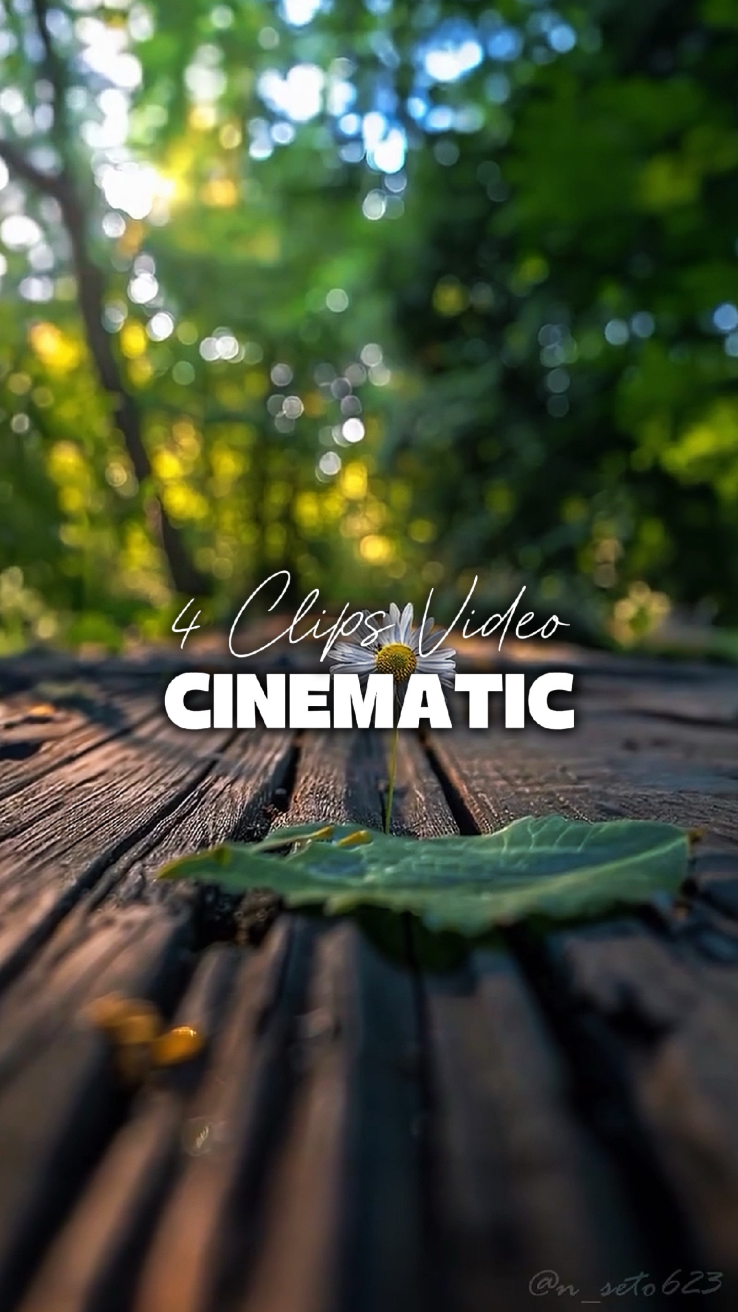 4 Clips Cinematic 