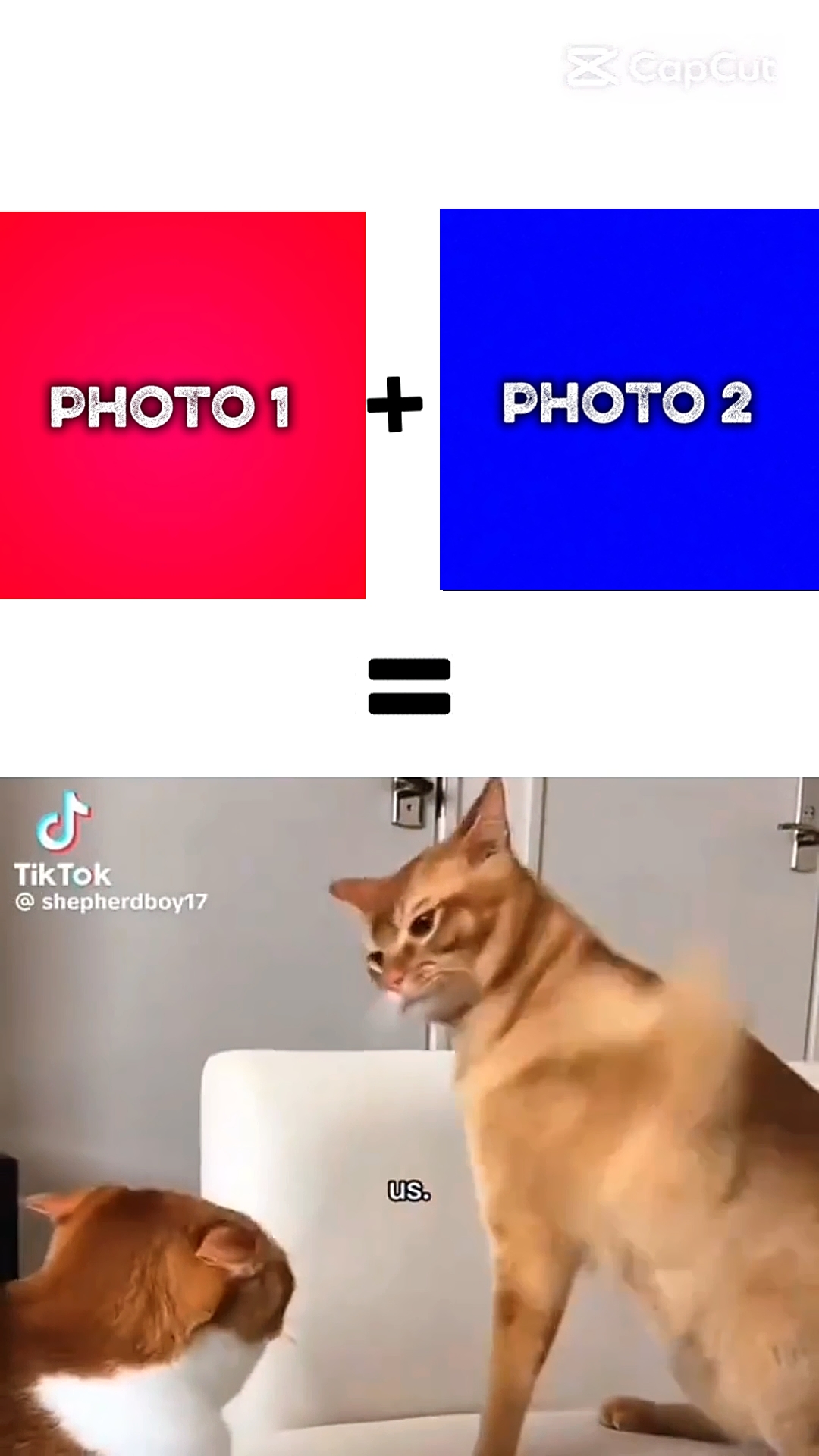 NOUVEAU MODÈLE VIRAL