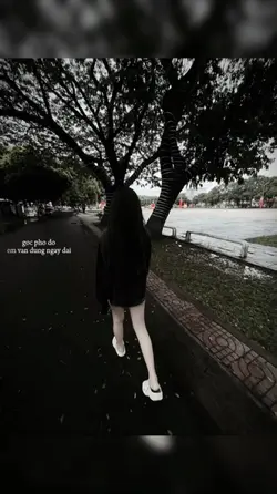 1 ảnh + màu