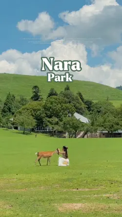 VLOG : Nara Park
