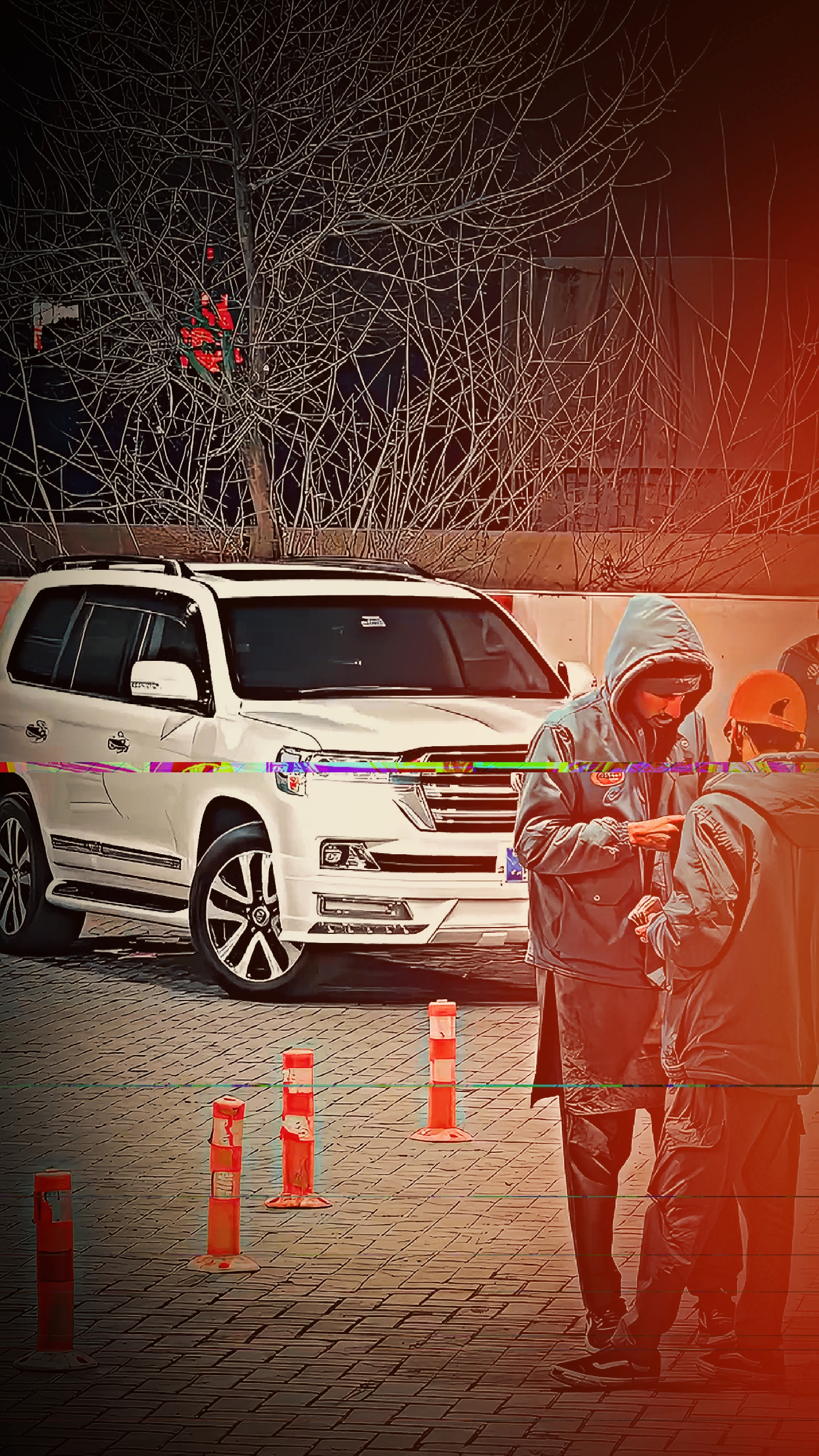Cover Picture