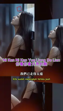 你看你看月亮的臉