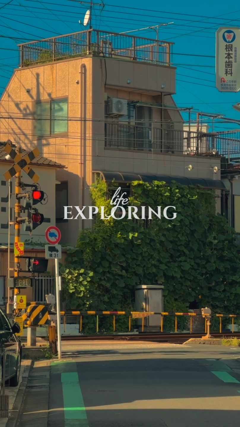 life exploring