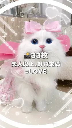 🎵恋人以上、好き未満