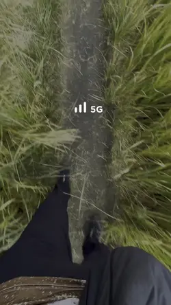 5g to Lost Internet