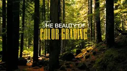 COLORGRADING TRANSFO